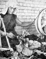  Knitter